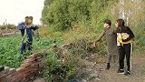 小伙发现自家萝卜总是被偷，于是把自己装扮成稻草人，结果搞笑了