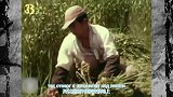 1969年日本的珍贵录像，日本农村的生活，跟中国很像