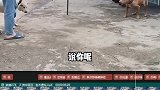 没想到他这么有劲