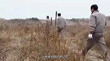 古墓未遭破坏却被“发掘”，墓中出土之物，至今仍严令禁止出国！