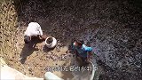 水塘里发出奇怪声响，村民拿小鱼儿试探，出来的东西让人不淡定了