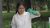 国外恶搞：路边科学实验，没想路人失手加了太多溶液，结果严重了
