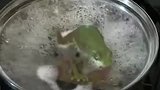 温水煮青蛙到底有怎样的结果，科学家亲自实验,网友还是人吗