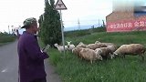 小女冬瓜鸡肉做啥美食？老妈直接吐槽不好吃！老爸忙圆场，太搞笑
