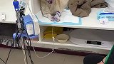 女子带自家狗狗到医院看病