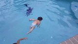 2岁的小萌娃一口气横越泳池，自由泳仰泳随意切换，简直太厉害了
