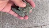 这么小的玉石都不放过