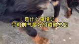 不要轻易触碰大哥的底线