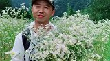 跟我做朋友整片花海都是你的