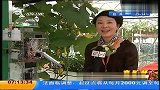 山东：菜园里走来机器人
