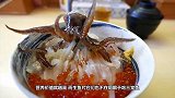 日本顶级厨师怎么处理极品石斑鱼刺身一刀下去，被惊艳到了
