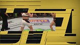 UFC-16年-UFC196：女子雏量级努涅斯vs舍甫琴科-全场