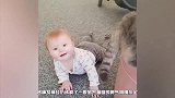 宠物猫生气不理小宝宝，下一秒猫咪的举动，爸妈都傻眼了！