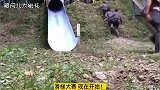 搞笑视频玩滑梯失误的奇葩摔姿，一个比一个狠！