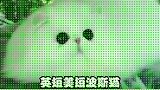 快看看，你家猫的性格是这样吗