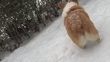 北京的第一场雪就这么化掉了，发个库存应应景，期待下一场大雪北京初雪