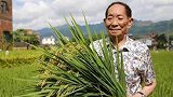 袁隆平：盐碱地种水稻可进一步保障中国粮食安全