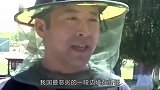 我国最危险的边防区一巴掌能拍死几十只蚊子，7条军犬被活活咬死