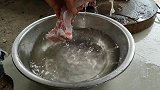 吃了几十年的排骨，第一次见小伙这吃法，真是人间美味