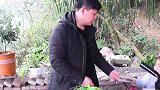 三德子在乡下做了个家常滑肉汤，一大盆，和侄女老爸一顿就吃完了