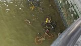 广州一男子1个月将90辆共享单车扔进河涌：喜欢坐河涌边