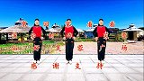 热门广场舞《常回家看看》找点空闲找点时间,领着孩子常回家看看
