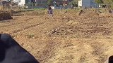 这操作有点让我措不及防