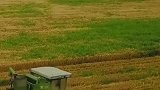 机械化收麦就是快！