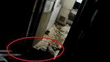 江苏扬州：独居老太家中摔倒！家犬门外狂吠，邻居报警救人