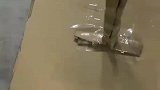 雨天回家没有雨伞，男子用纸板和胶带自制