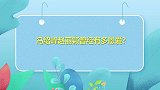 赵丽颖冯绍峰曾经有多甜蜜上节目多次骄傲提起赵丽颖是我老婆