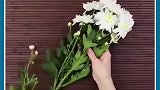 小技巧：小妙招告诉你花店彩色的花瓣是怎