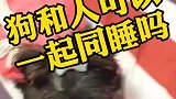 狗狗和人可以一起同睡吗？视频看完了就知道了