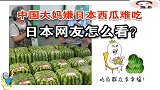 老外：中国大妈吐槽日本西瓜不好吃，日本网友表示很无辜