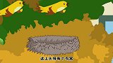 猪屁登：大牛嘲笑屁登短胳膊短腿还想爬树？屁登的操作让大牛傻了