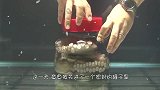 章鱼被关进了一个密封的罐子里，接下来见证奇迹的时刻到了！