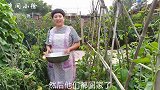 中午剩了好多菜，晚饭做个省事儿的，小徐这饭量没谁了
