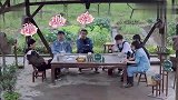杨紫自夸每期都看过，黄磊一说“开关游戏”，小猴紫愣住