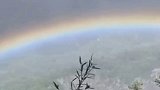 海拔2380米拍到秦岭山谷巨大彩虹