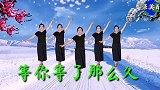 经典老歌欣赏《等你等了那么久》醉美绿叶广场舞