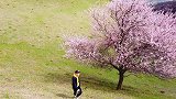 这是去年春天刚接触短视频没多久。也不怎么会拍剪，我带了几个朋友回村子后山看野杏花伊犁 霍城县 大西沟乡