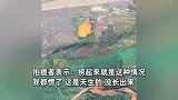 天津男子捞出“凹肚鱼”，肚子凹陷成空壳仍然活蹦乱跳，细看头皮发麻