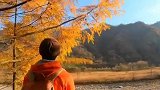这是我见过最美的秋天了