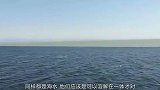 你知道吗？太平洋的海水和大西洋是不相容的，真实镜头记录