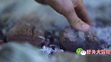 大叔野外用特殊方法煮羊排，看上去味道就很不错！