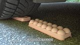 汽车碾压小鸡玩具挑战实验