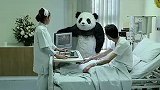 好暴力的熊猫