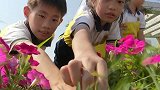 广州一小学劳动教育分三块：除了食育课程和非遗手艺的传承