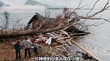 高分恐怖片之一，最大的恐惧来自未知，迟来