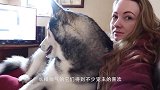 最心机的谋杀手段！要不是监控拍下全过程，谁能相信这是真的！